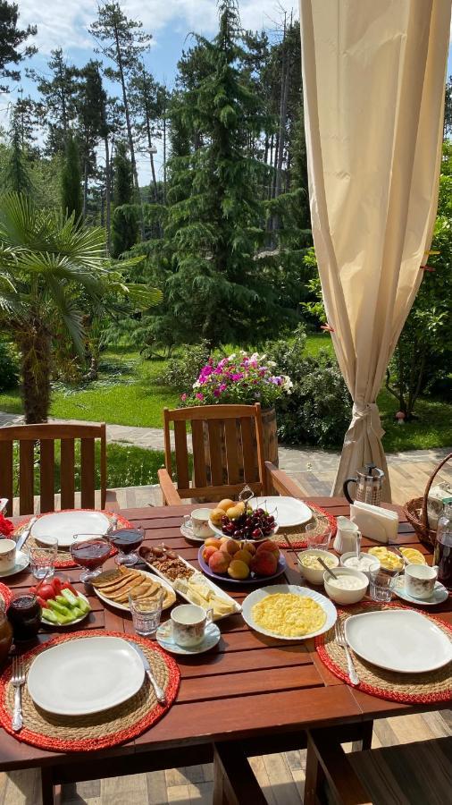 Neli & Zaal Guest House Telavi Exteriör bild